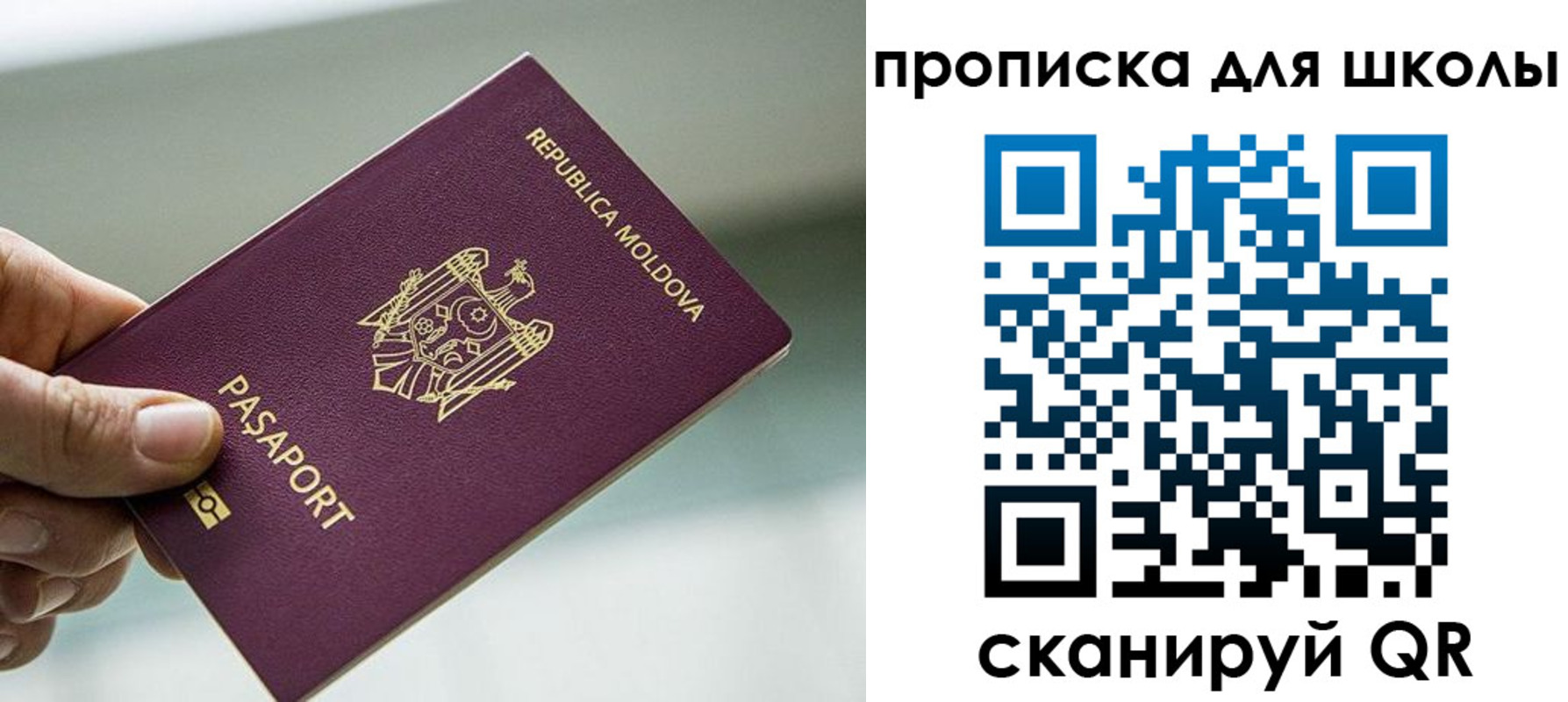 прописка в квартире в Тайге
